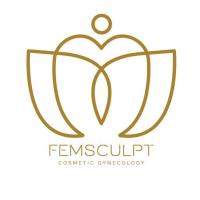 FemSculpt Cosmetic Gynecology image 1